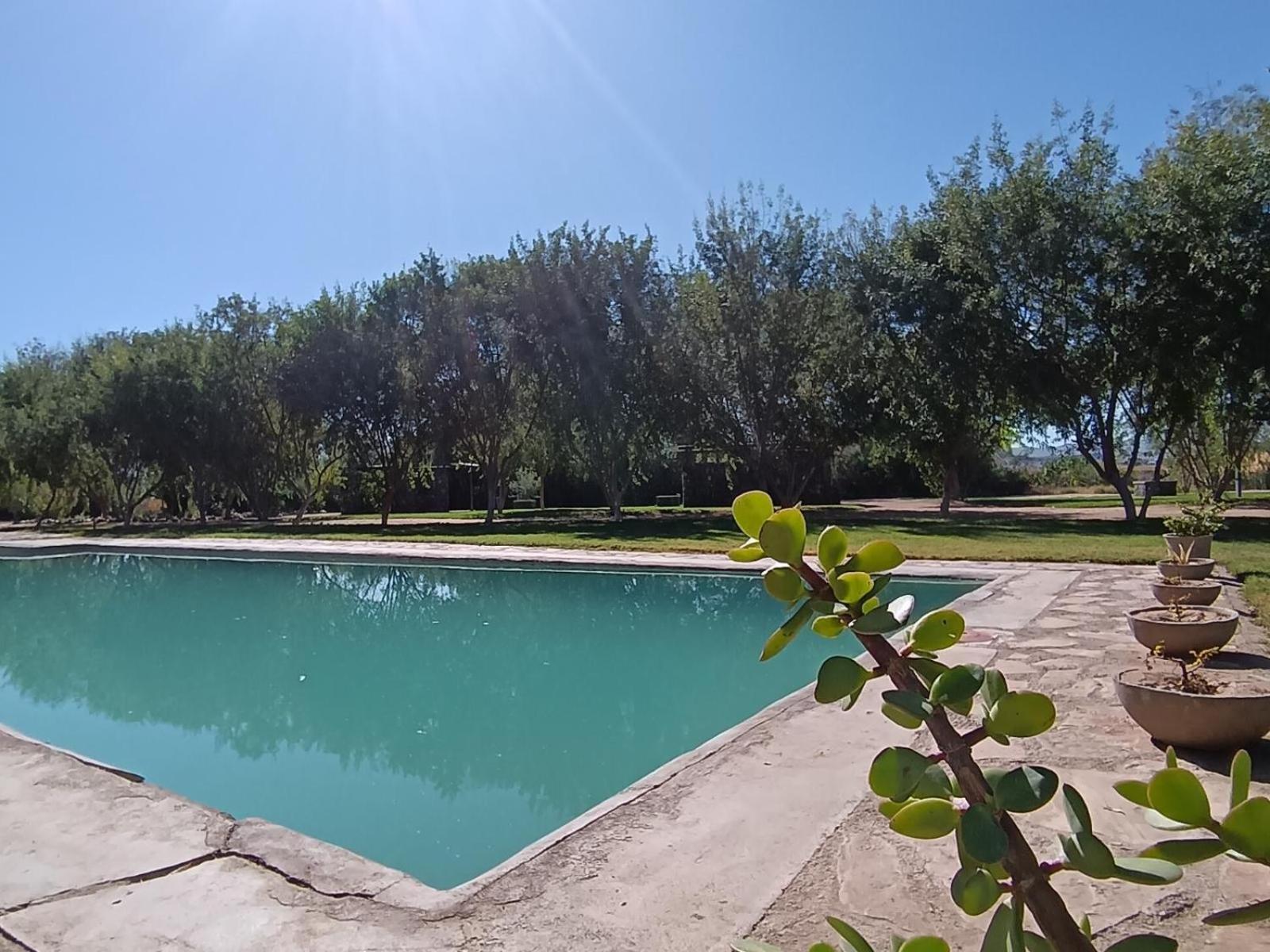 Kwelanga River Lodge Vioolsdrift Exterior photo